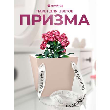 Пакет для цветов Qwerty Призма