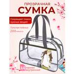 Сумка прозрачная DARIKAGROUP для бассейна