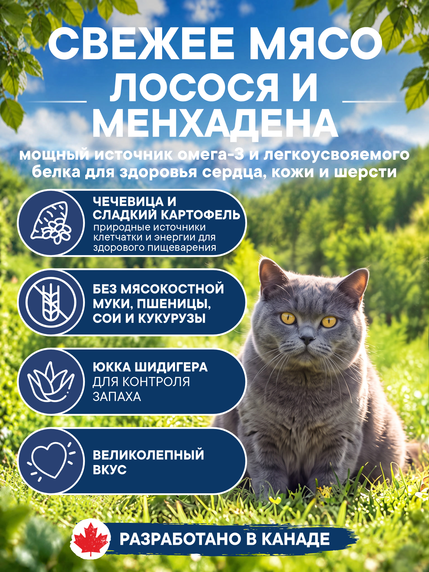 Корм для кошек сухой Pronature Holistic Mediterranean Grain Free беззерновой с лососем 340г - фото 2