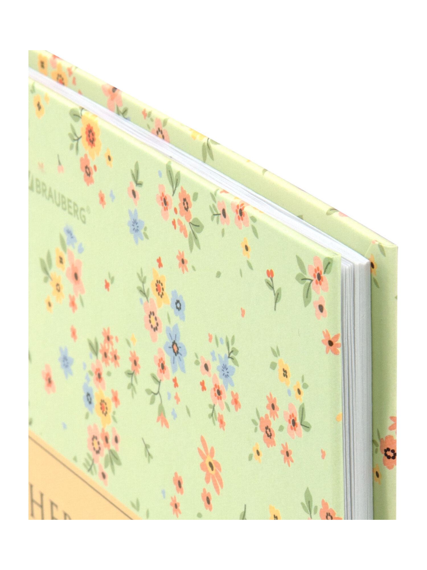 Дневник школьный Brauberg для девочек 1-11 класс твердая обложка 40 листов - фото 5