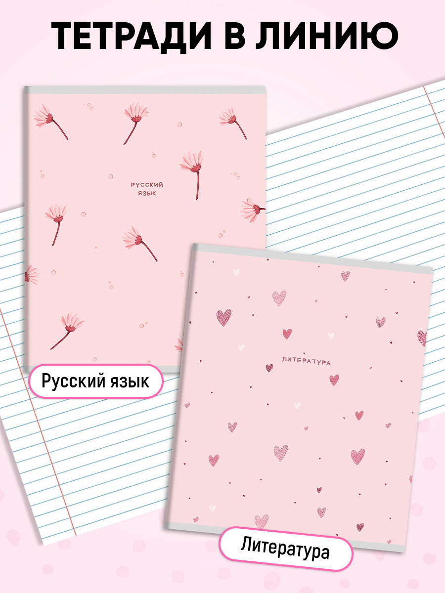Тетрадь Prof-Press 24 лист. 10 шт. (Иностранный язык, Биология, История, Русский язык, Литература, Алгебра) - фото 4