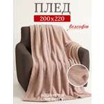 Плед LOVEBERRY велсофт 200 x 220 см