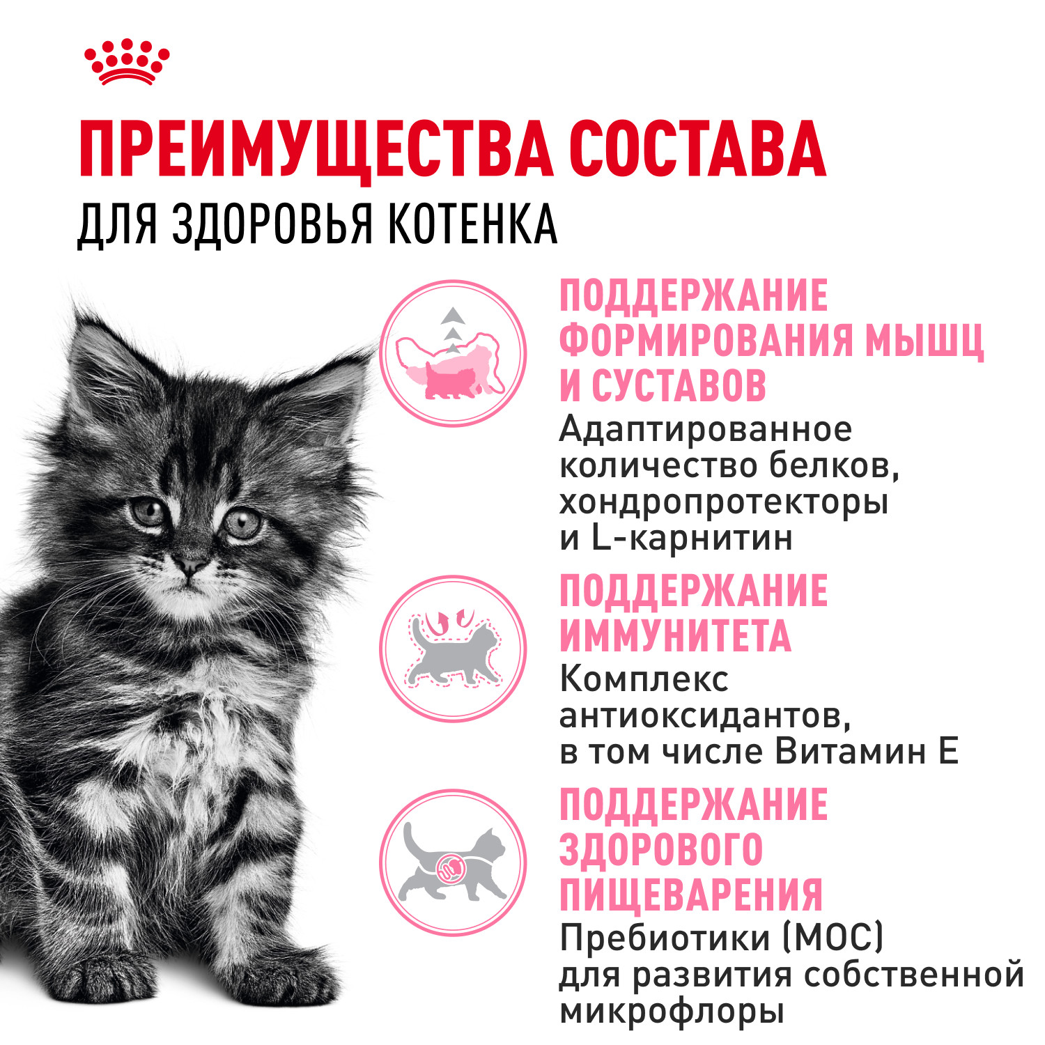 Корм для котят Royal Canin 400г Maine Coon породы мейн-кун - фото 3