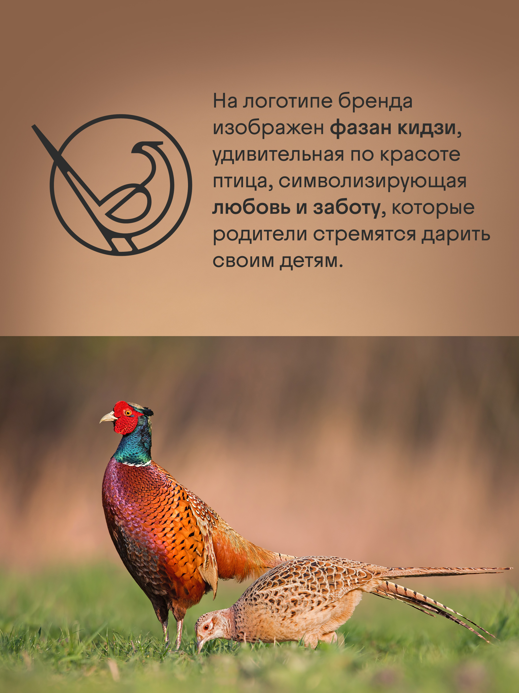 Коляска прогулочная Kidzi Breezy бежевый - фото 14