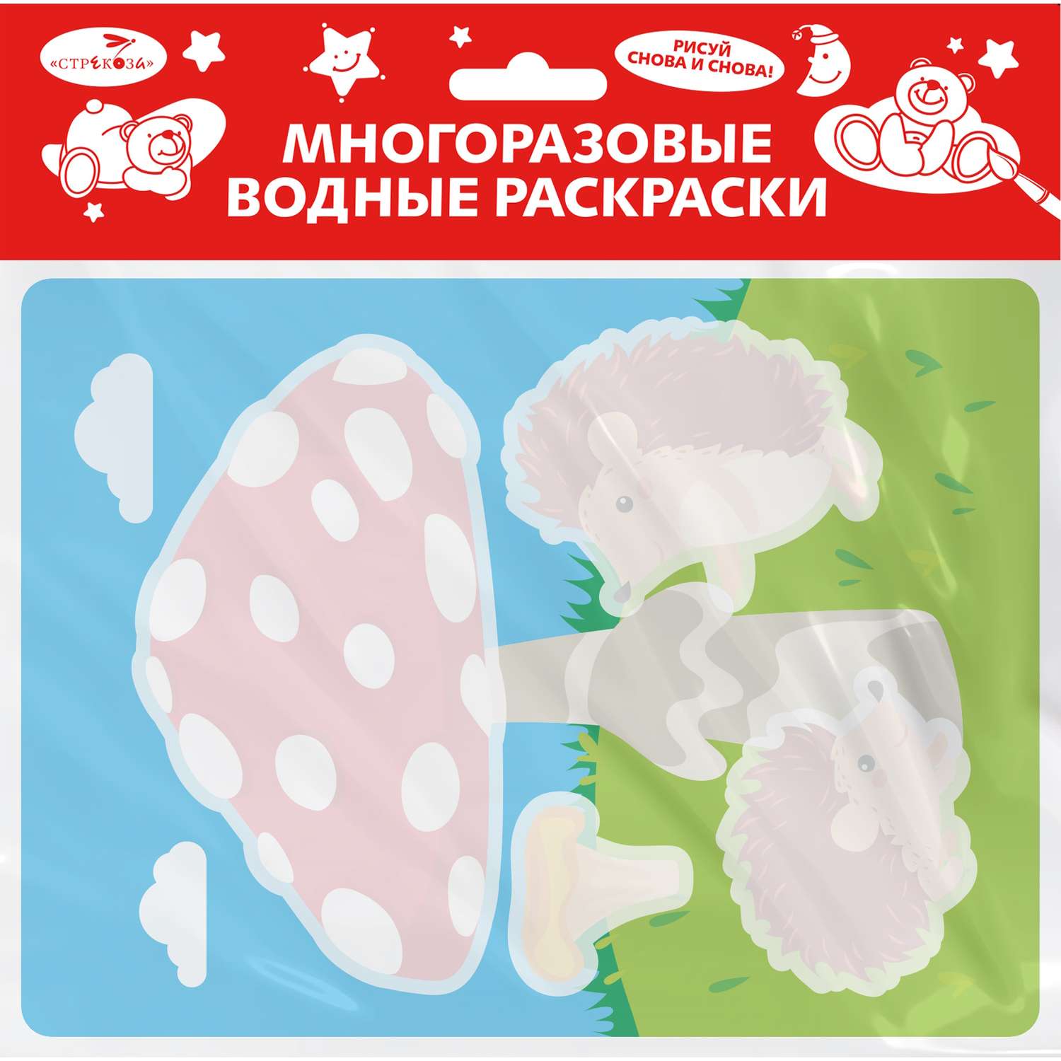 Раскраска водная многоразовая Ежик и грибочек Выпуск 24 - фото 1