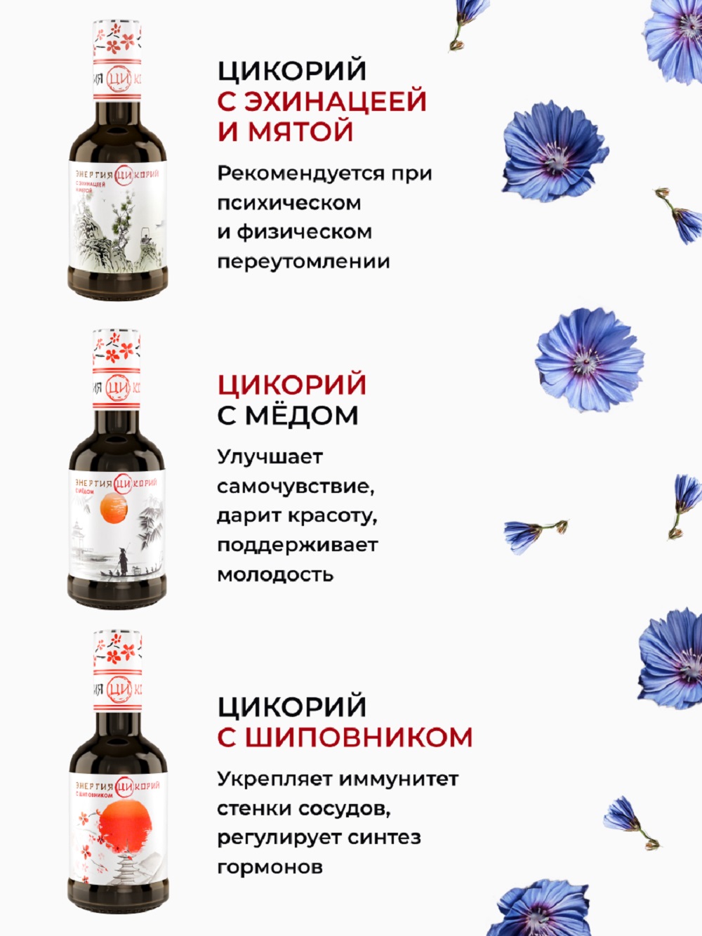 Цикорий Энергия Ци экстракт растворимый жидкий без добавок - фото 7