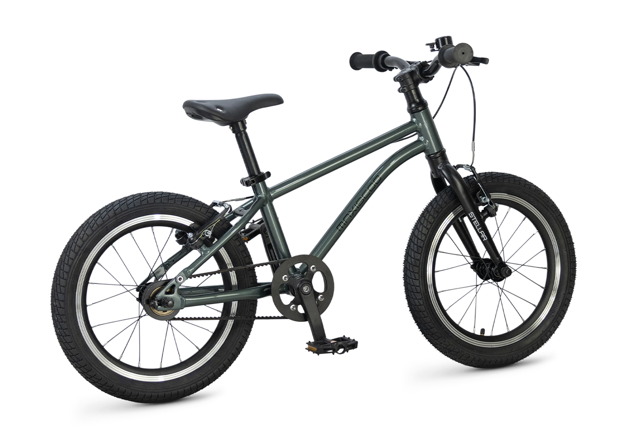 Двухколесный велосипед Maxiscoo 16 дюймов - фото 2