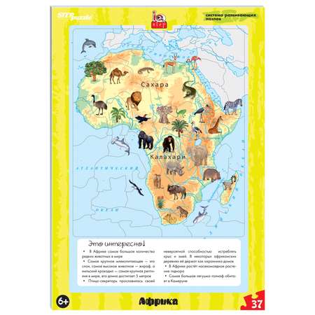 Пазл Step Puzzle классический в ассортименте