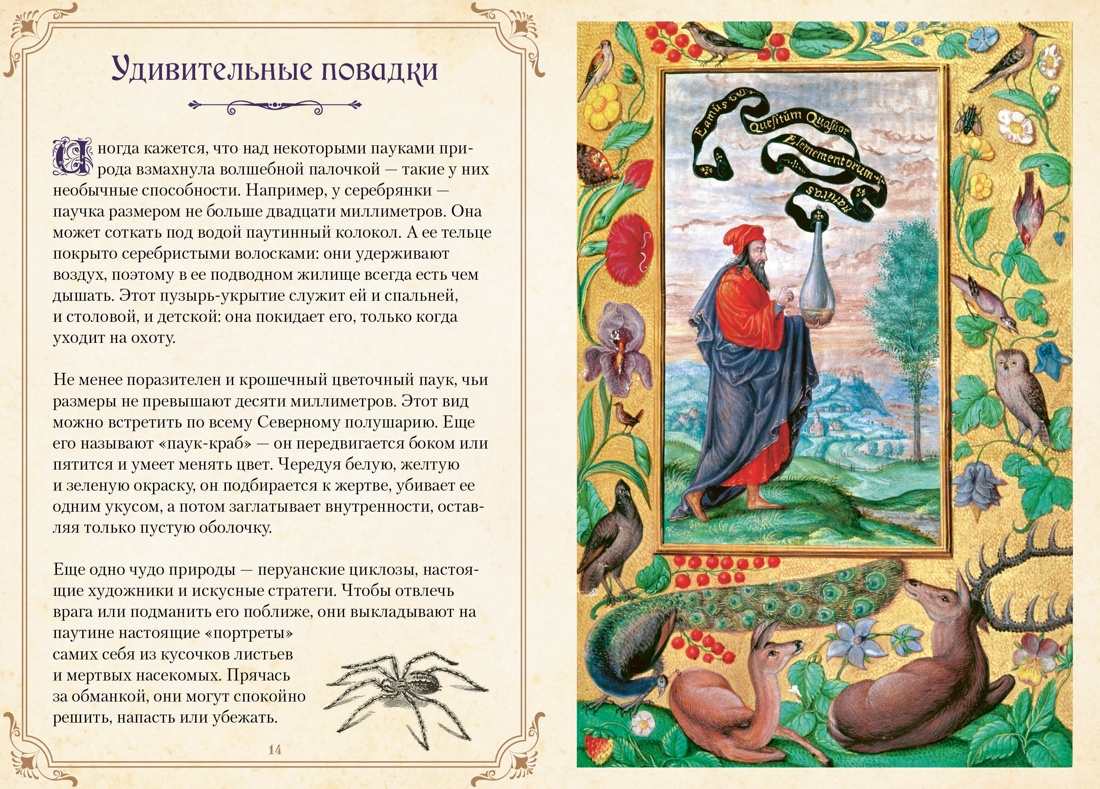 Сборный комплект в коробе из 3-х книг КОЛИБРИ Тайные знания магического Средневековья - фото 13