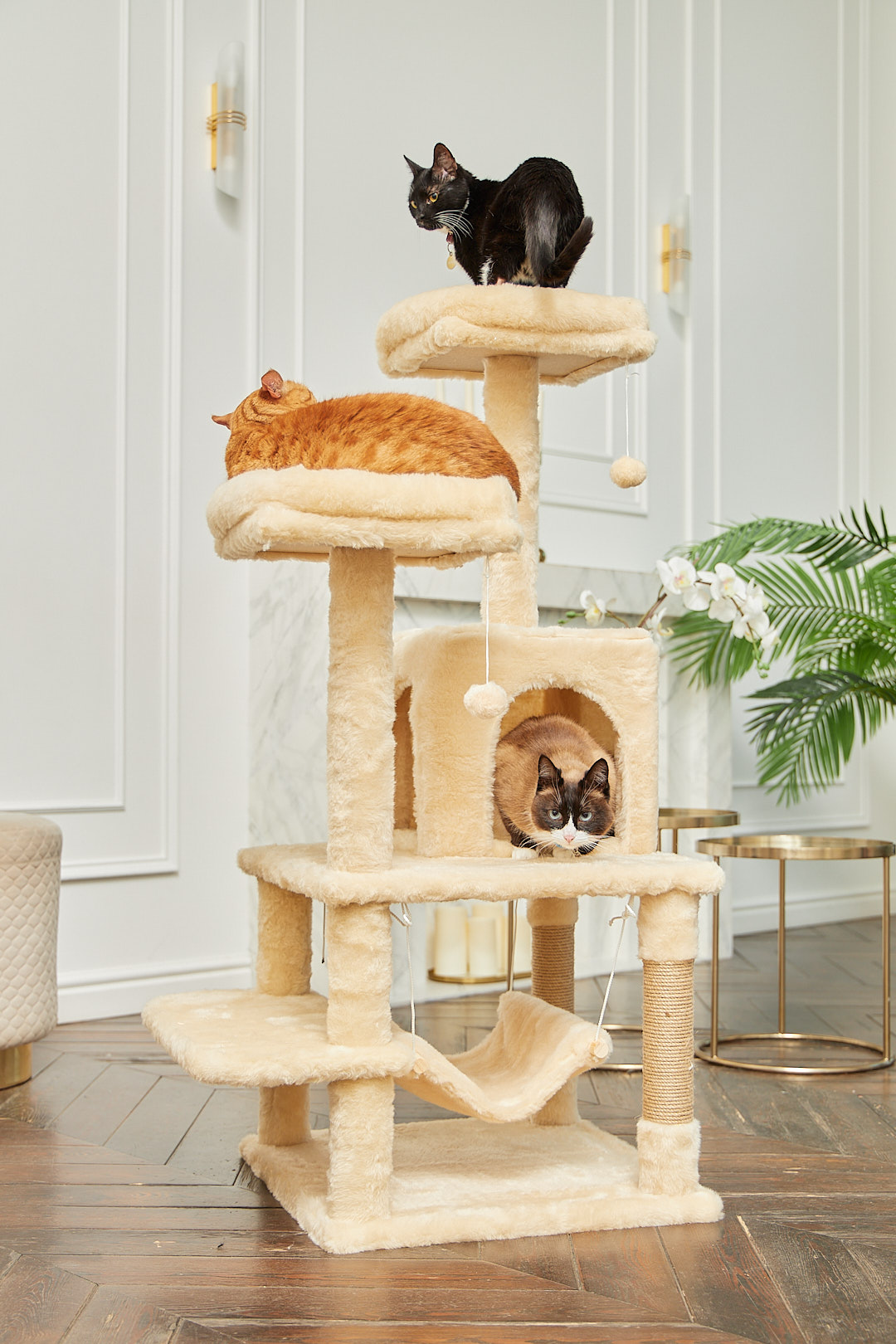 Игровой комплекс для кошек дом Pet БМФ Бежевый - фото 4