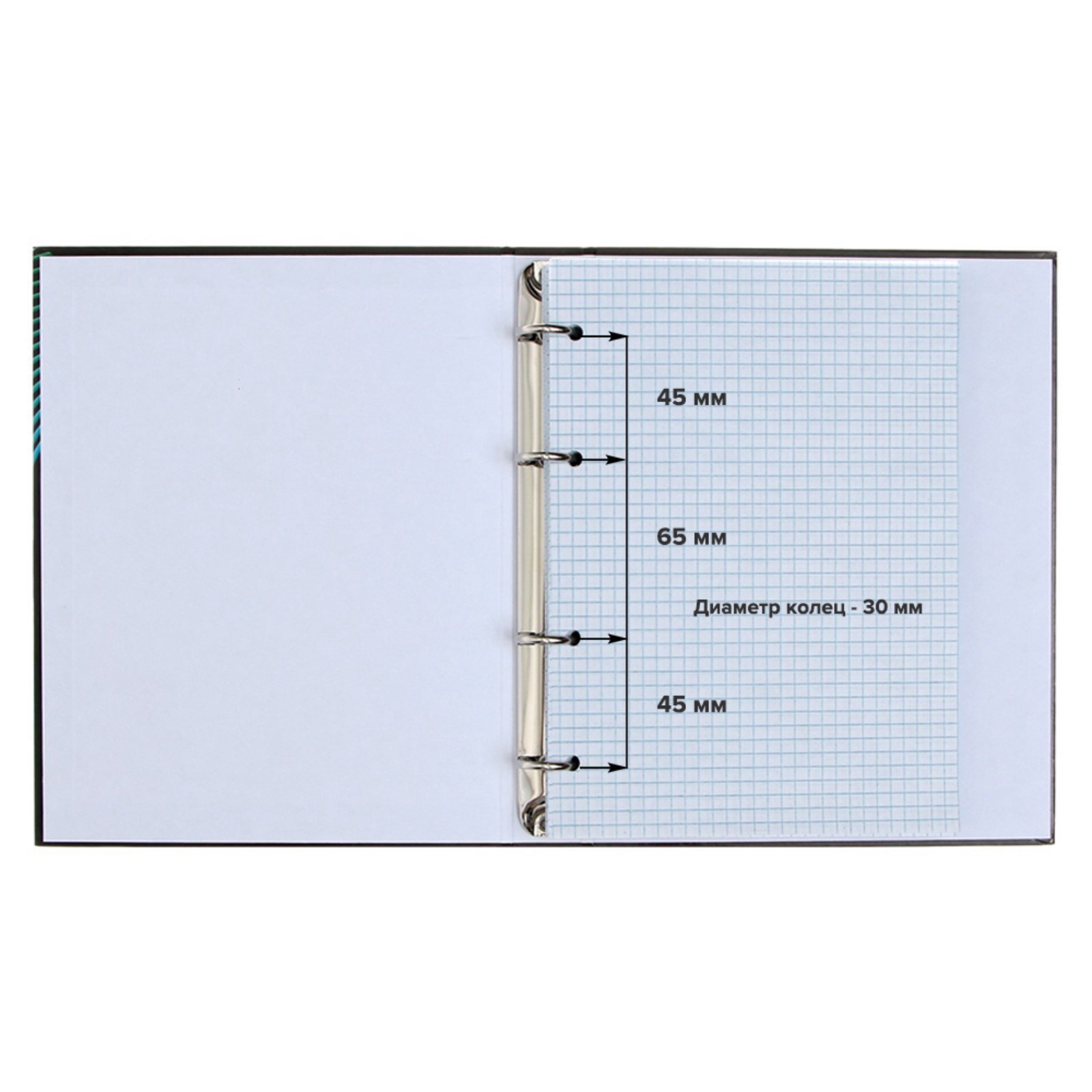 Тетрадь Calligrata клетка - фото 4