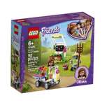 Конструктор LEGO Friends Цветочный сад Оливии 41425 183 дет.