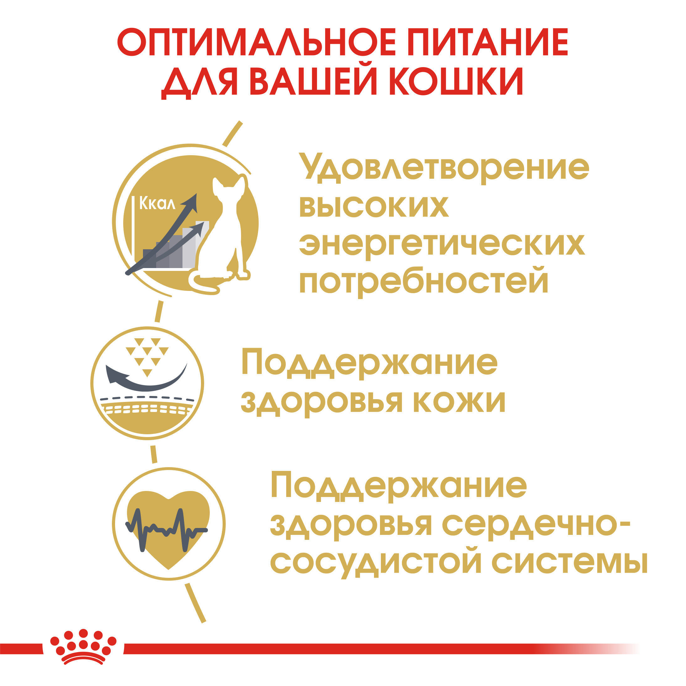Корм сухой для кошек ROYAL CANIN Sphynx 2кг породы сфинк - фото 5
