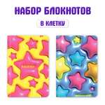 Блокнот Проф-Пресс в клетку Дутыши 12х18 см. 64 лист.
