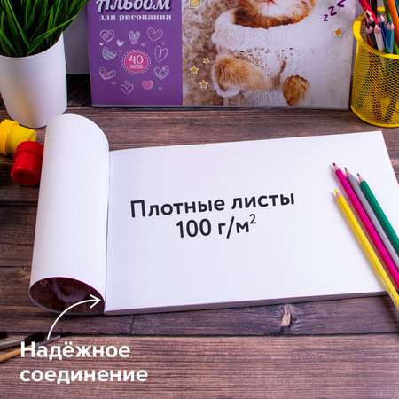 Альбом Юнландия А4 40 лист. 2 шт.