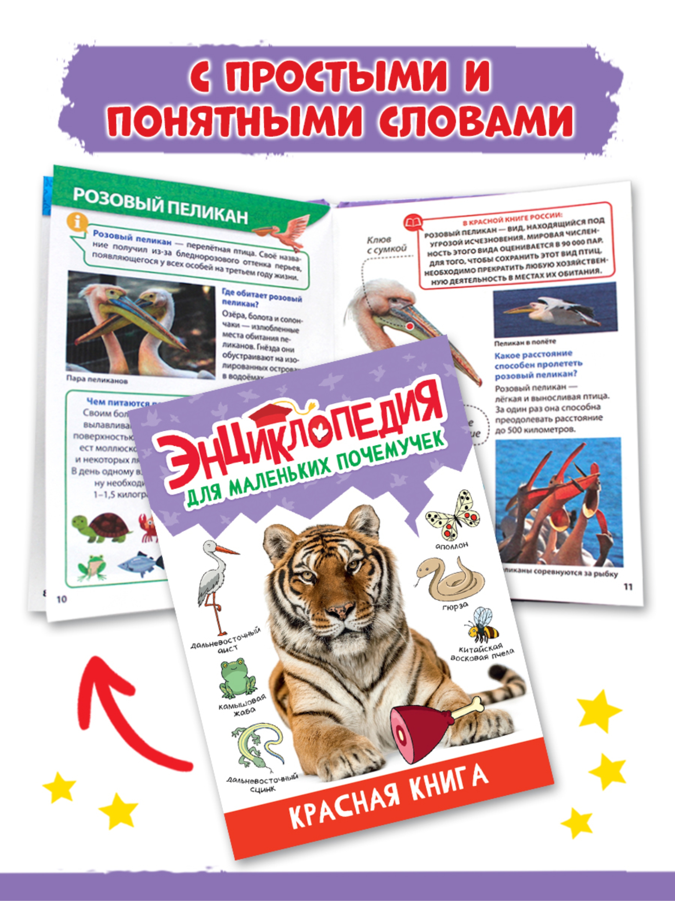 Книга Проф-Пресс Энциклопедия для маленьких почемучек. 2 шт. Домашние питомцы+Красная книга - фото 7