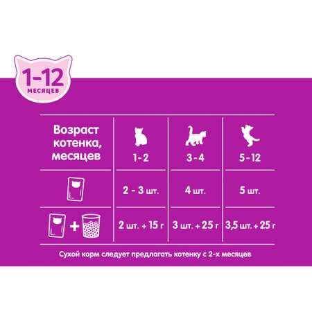 Корм для котят Whiskas от 1 до 12месяцев рагу с ягненком 75г
