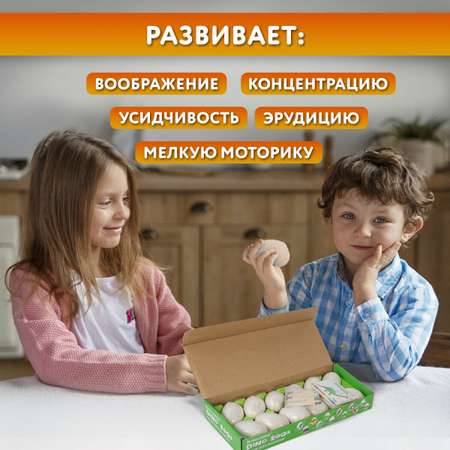 Набор для раскопок Brauberg