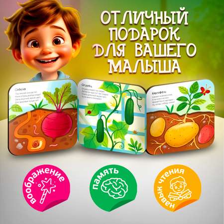 Книжка-раскладушка Огород