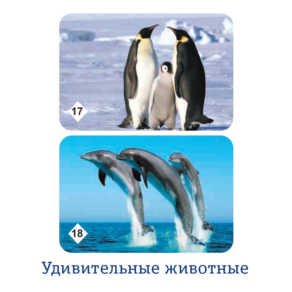 Настольная игра Нескучные игры Мемо - фото 12