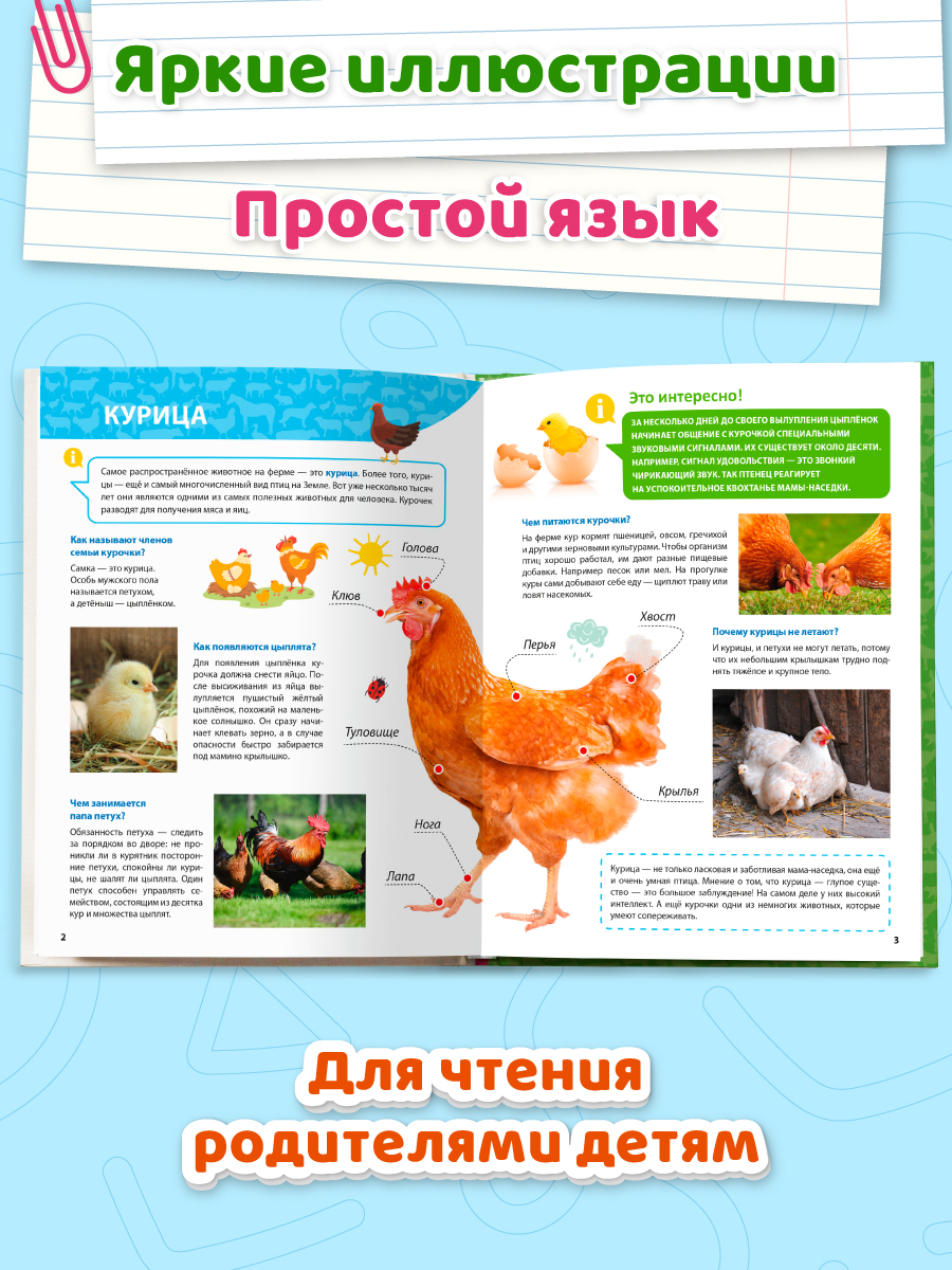 Книга Проф-Пресс Первая детская энциклопедия Всё о животных фермы малышам - фото 2