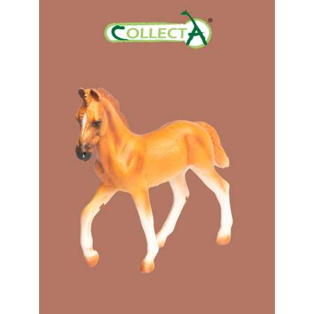 Фигурка Collecta Жеребёнок Перуанский Пасо
