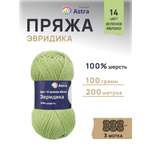 Пряжа Astra Premium Эвридика шерстяная 100 г 200 м 14 зеленое яблоко 3 мотка