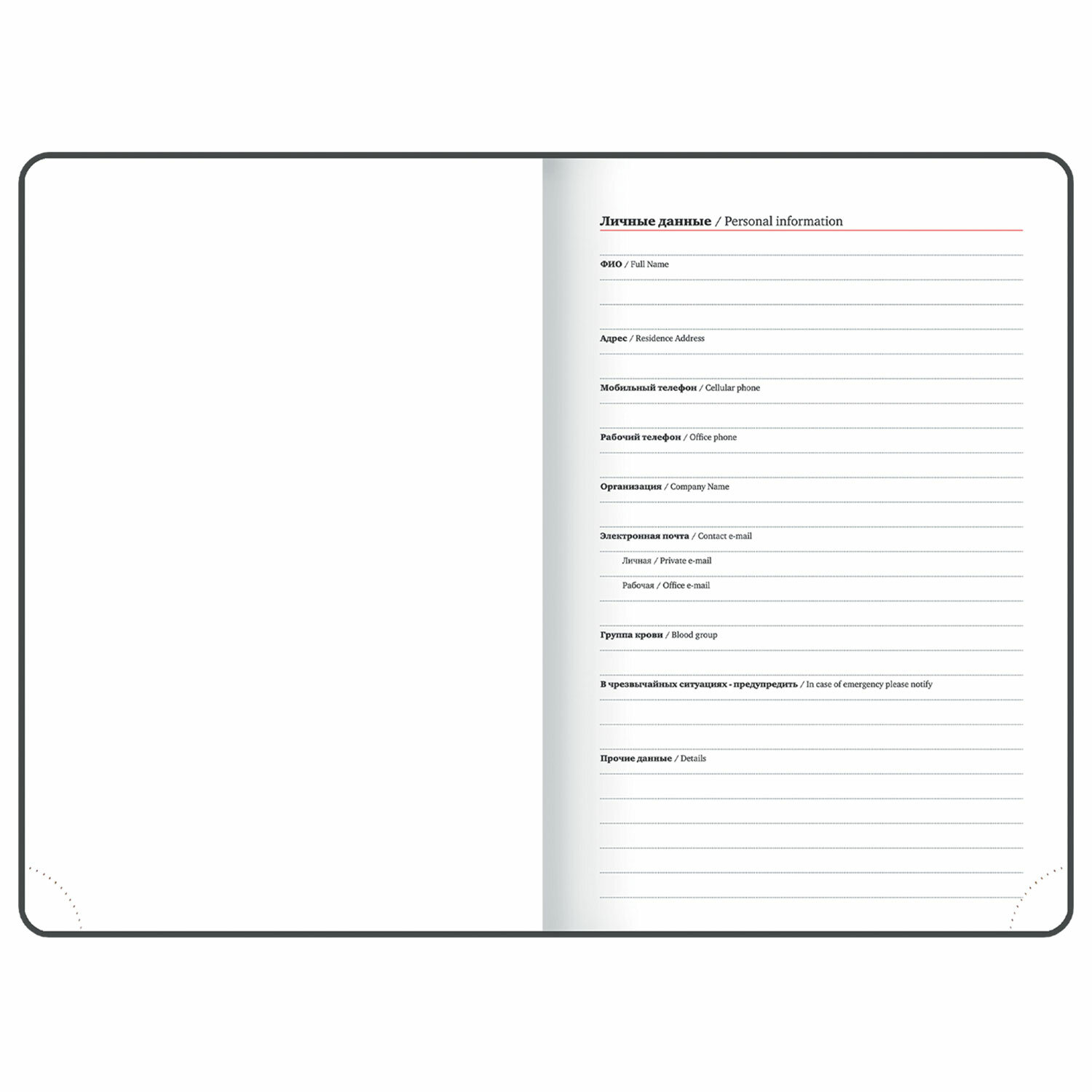 Ежедневник Brauberg - фото 9