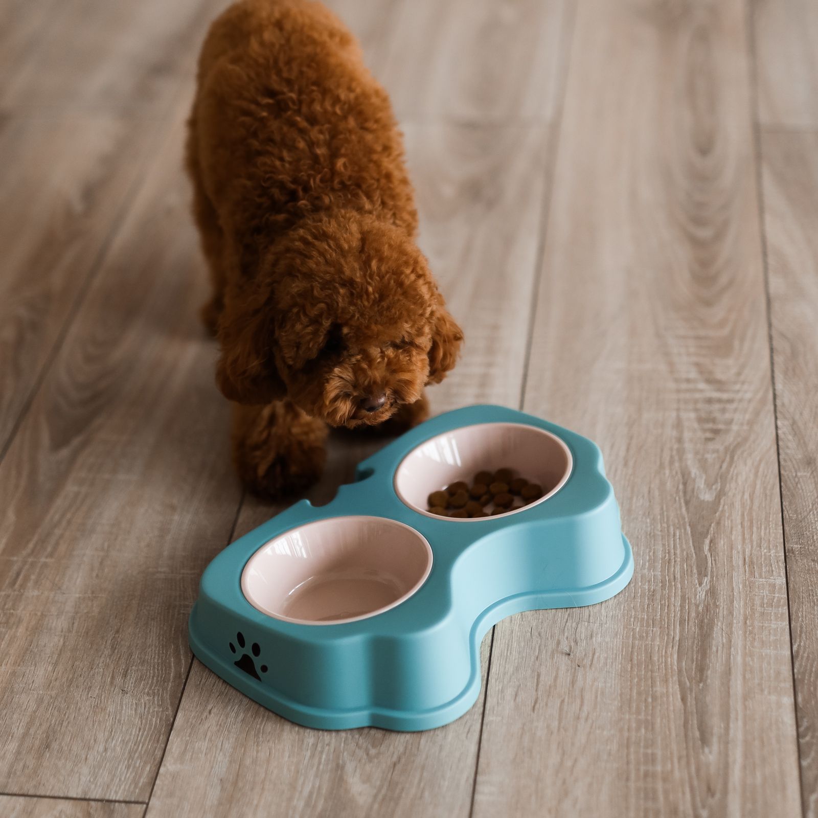 Миска для животных Не один дома Лемур двойная Синий 370мл*2шт - фото 5