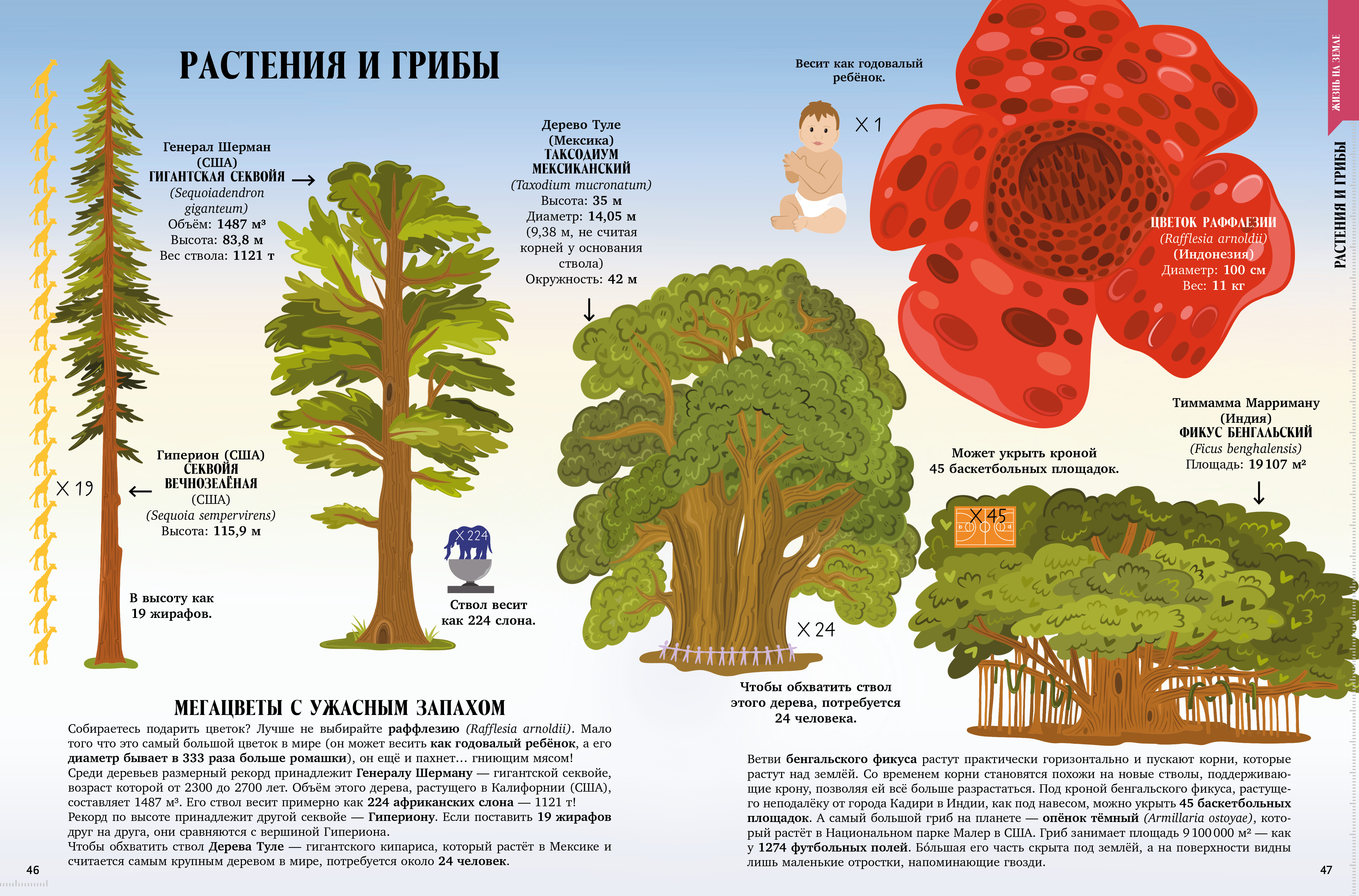 Книга Clever Большая энциклопедия CLEVER - фото 4