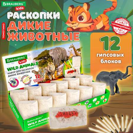 Набор для раскопок Brauberg