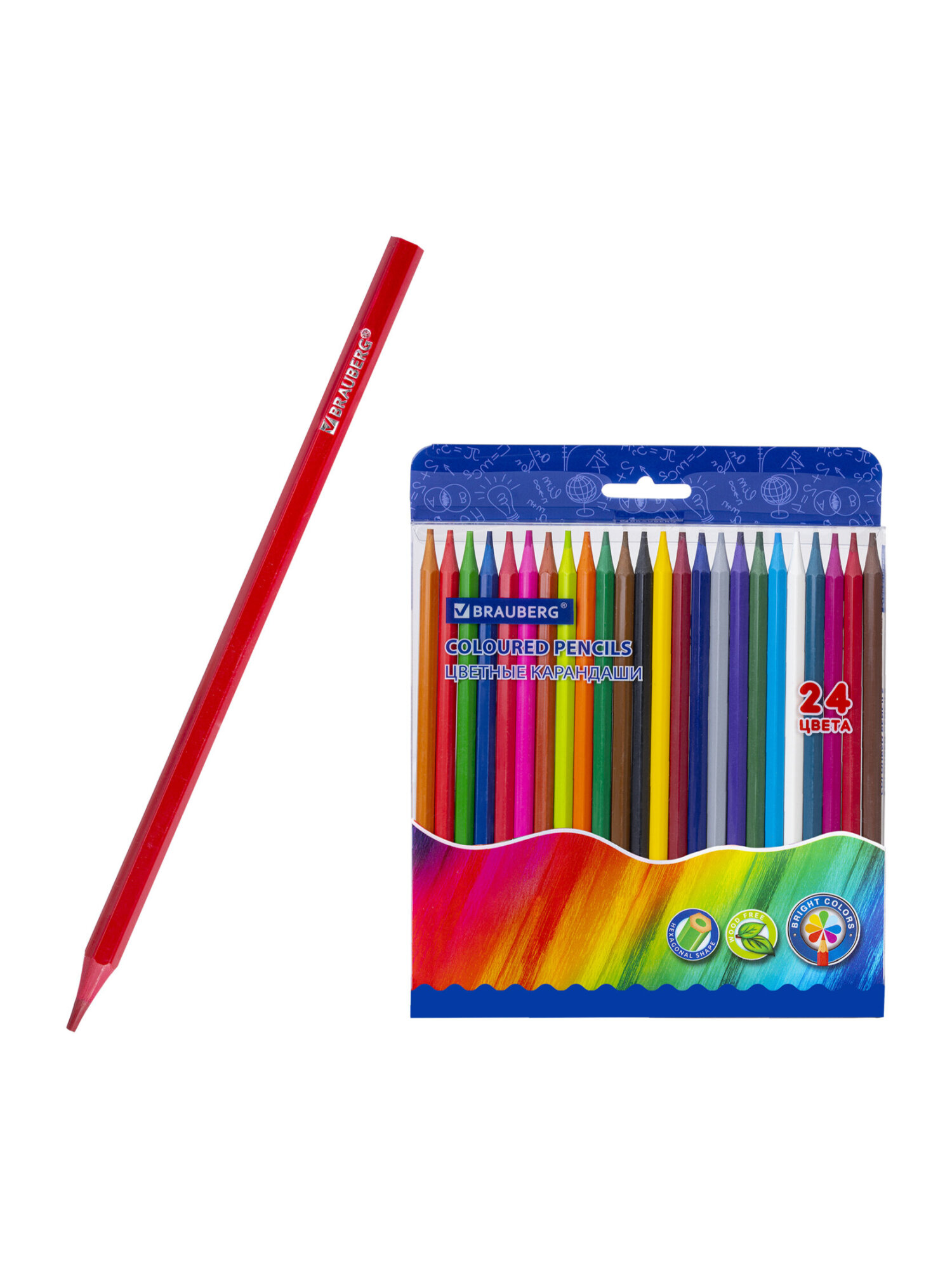 Карандаши цветные Brauberg 24 шт. - фото 9