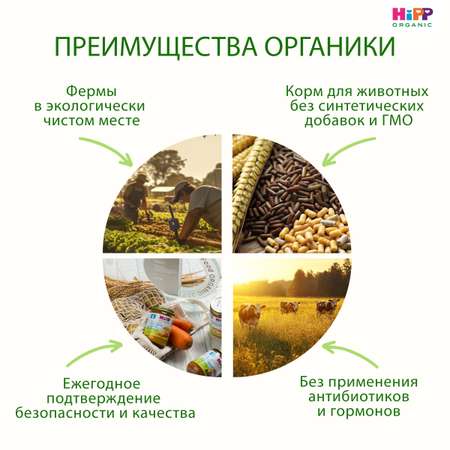 Пюре Hipp крем-суп овощи-цыпленок 190г с 7месяцев