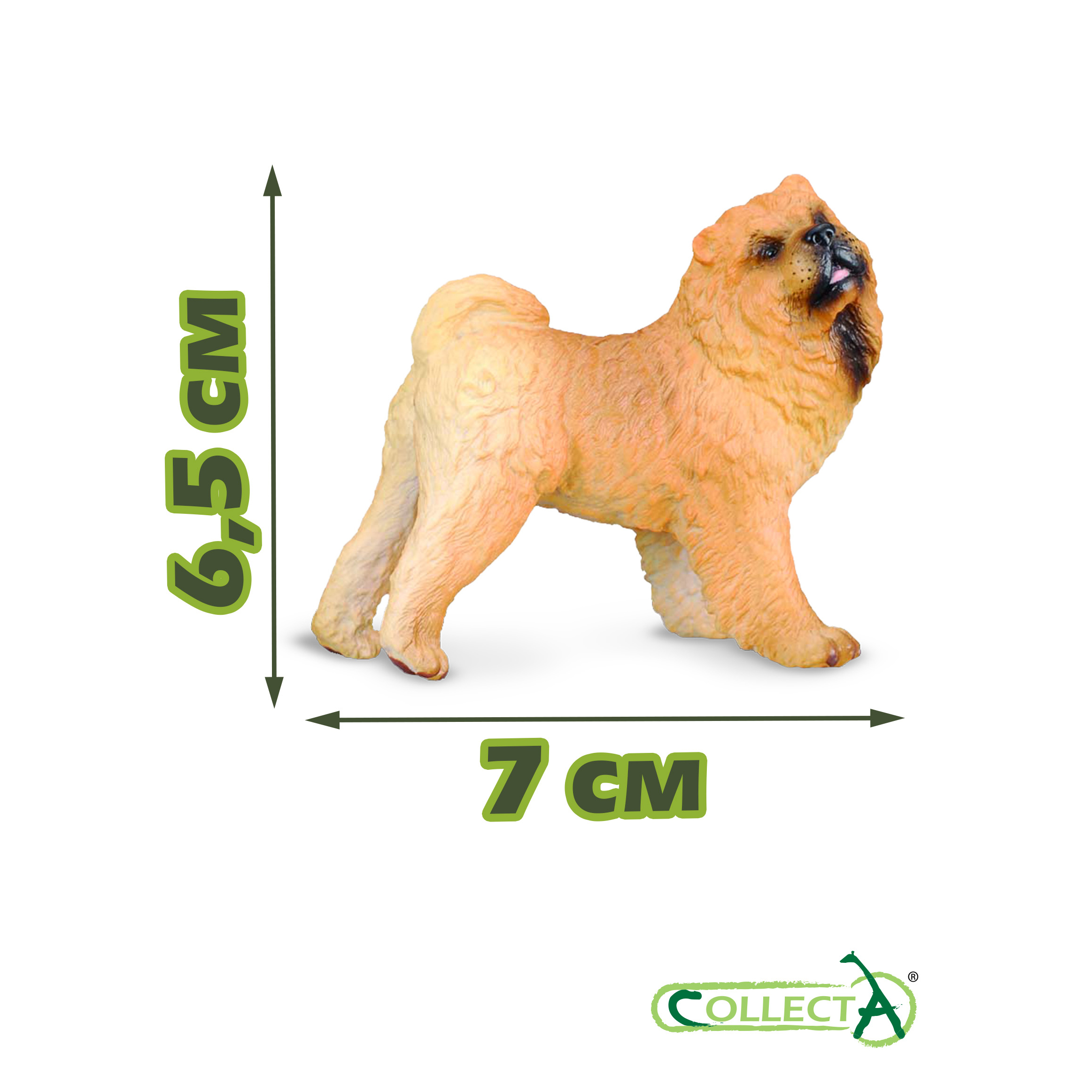 Фигурка Collecta Собака Чау-чау - фото 2