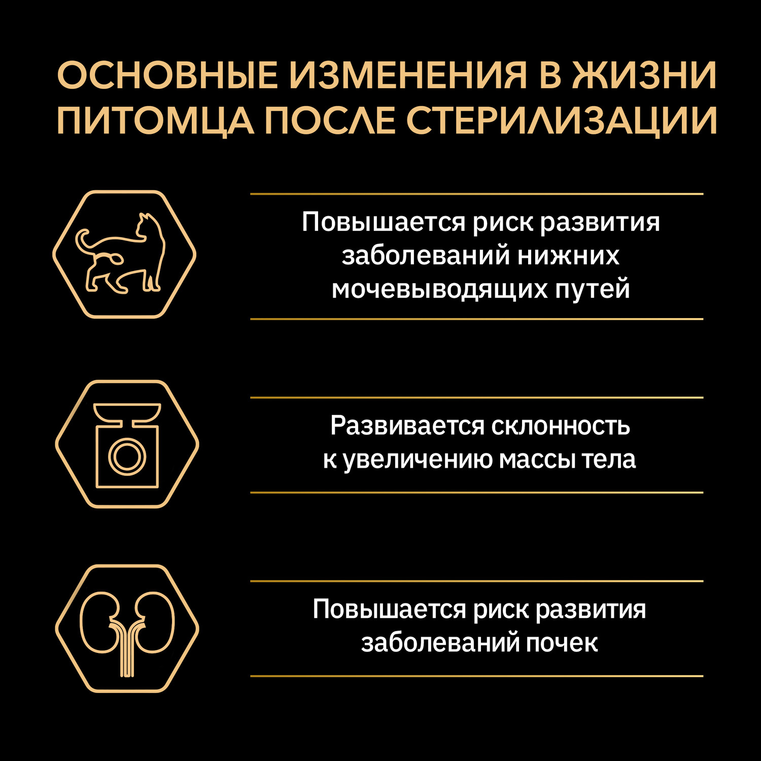 Корм для кошек PRO PLAN при стерилизации и кастрации для поддержания органов чувств с лососем 10кг - фото 6