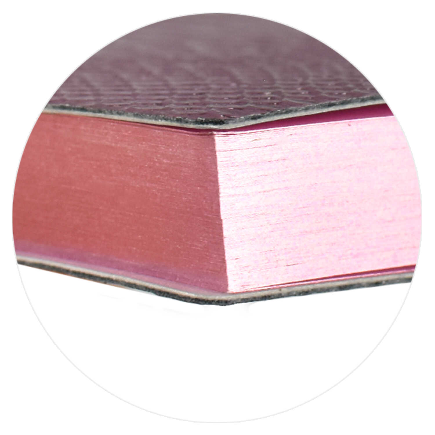 Ежедневник Феникс + ESCALADA 160 лист. - фото 3