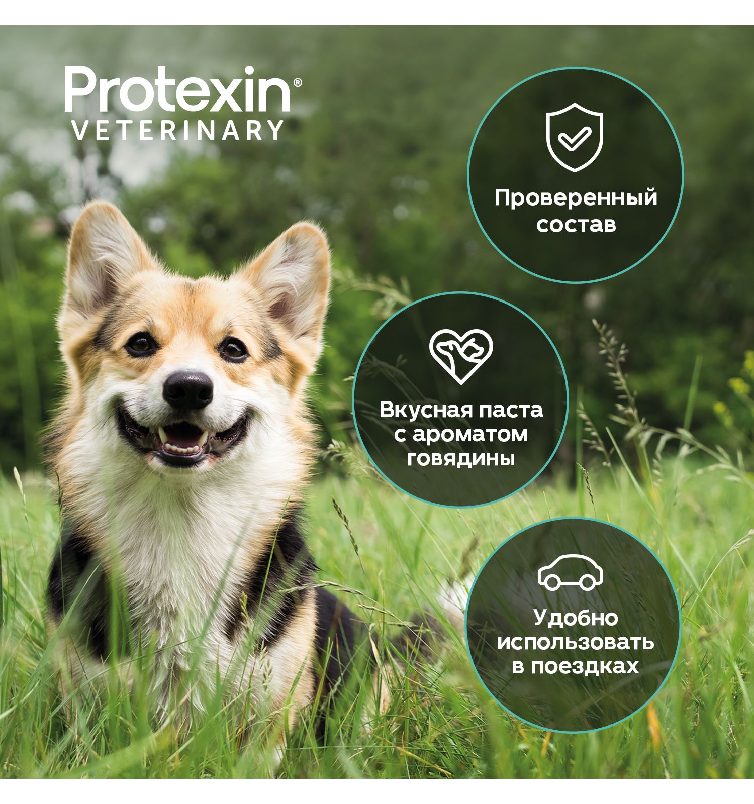 Добавка для кошек и собак Protexin Проколин пробиотическая кормовая 30мл - фото 6