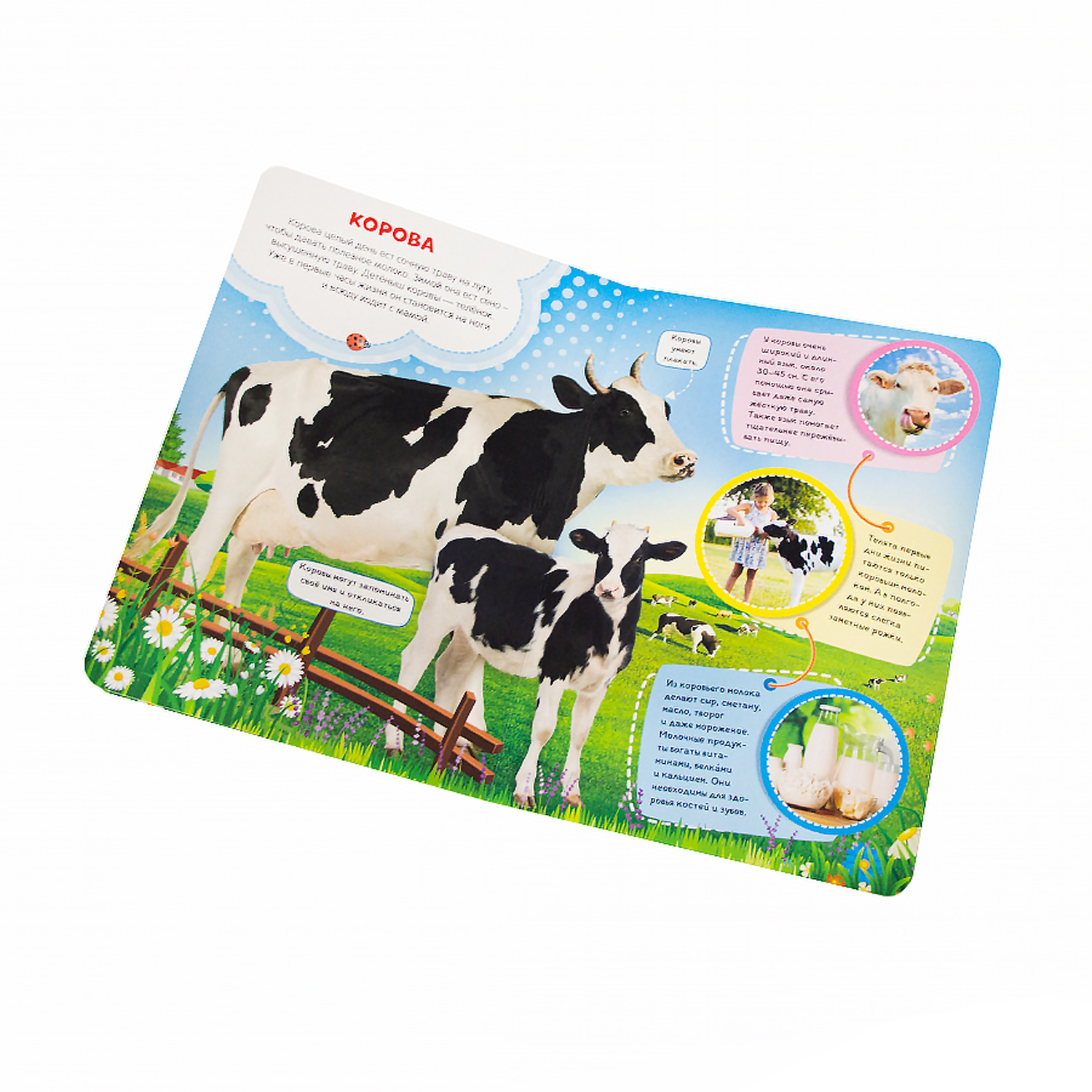 Набор книг Malamalama Ферма и в лесу книги для детей от двух лет - фото 6