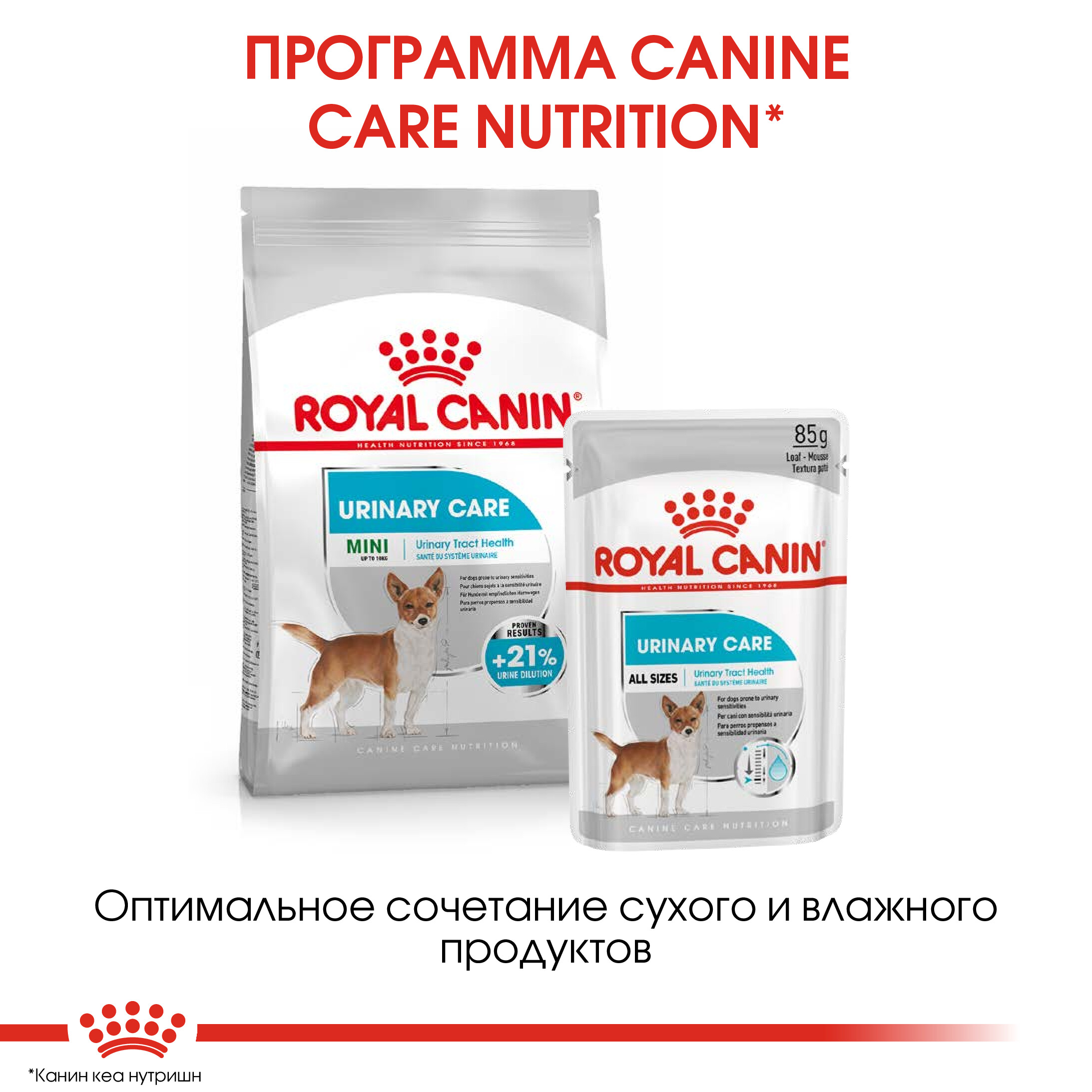Корм для собак ROYAL CANIN Mini Urinary Care мелких пород профилактика МКБ 1кг - фото 6