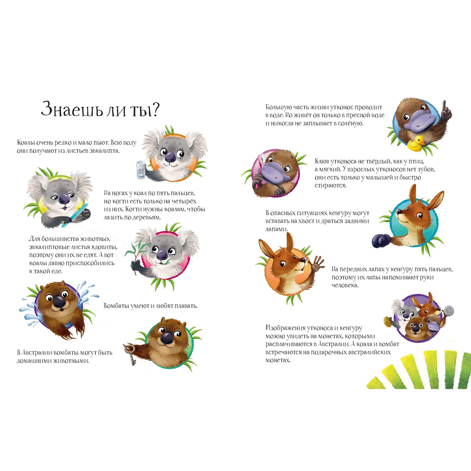 Книга ЭНАС-книга Малыш Коала находит друзей - фото 5
