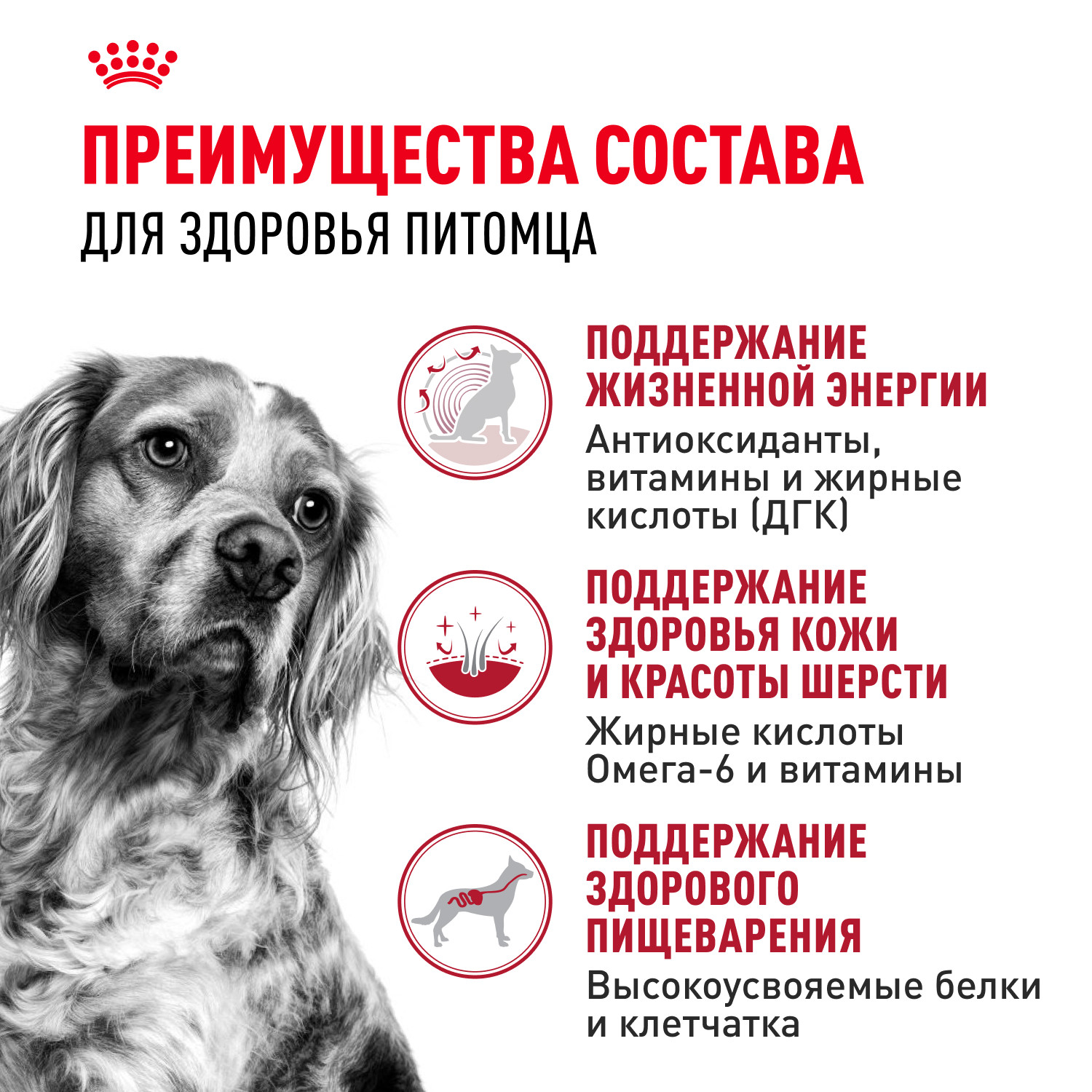 Корм для собак ROYAL CANIN Medium Adult 7+ средних пород 15кг - фото 3