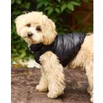 Жилет для собак и кошек Зоозавр