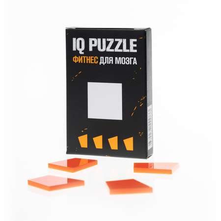 Настольная игра IQ PUZZLE Головоломка