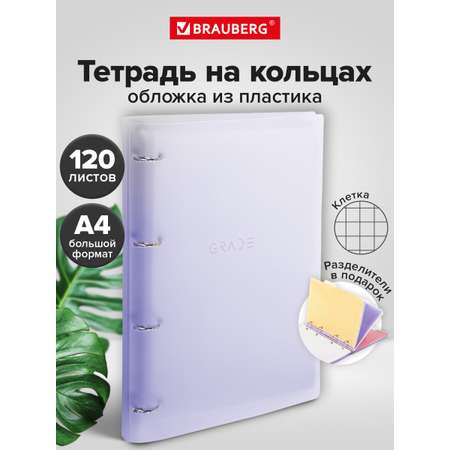 Тетрадь со сменным блоком Brauberg клетка 120 лист.