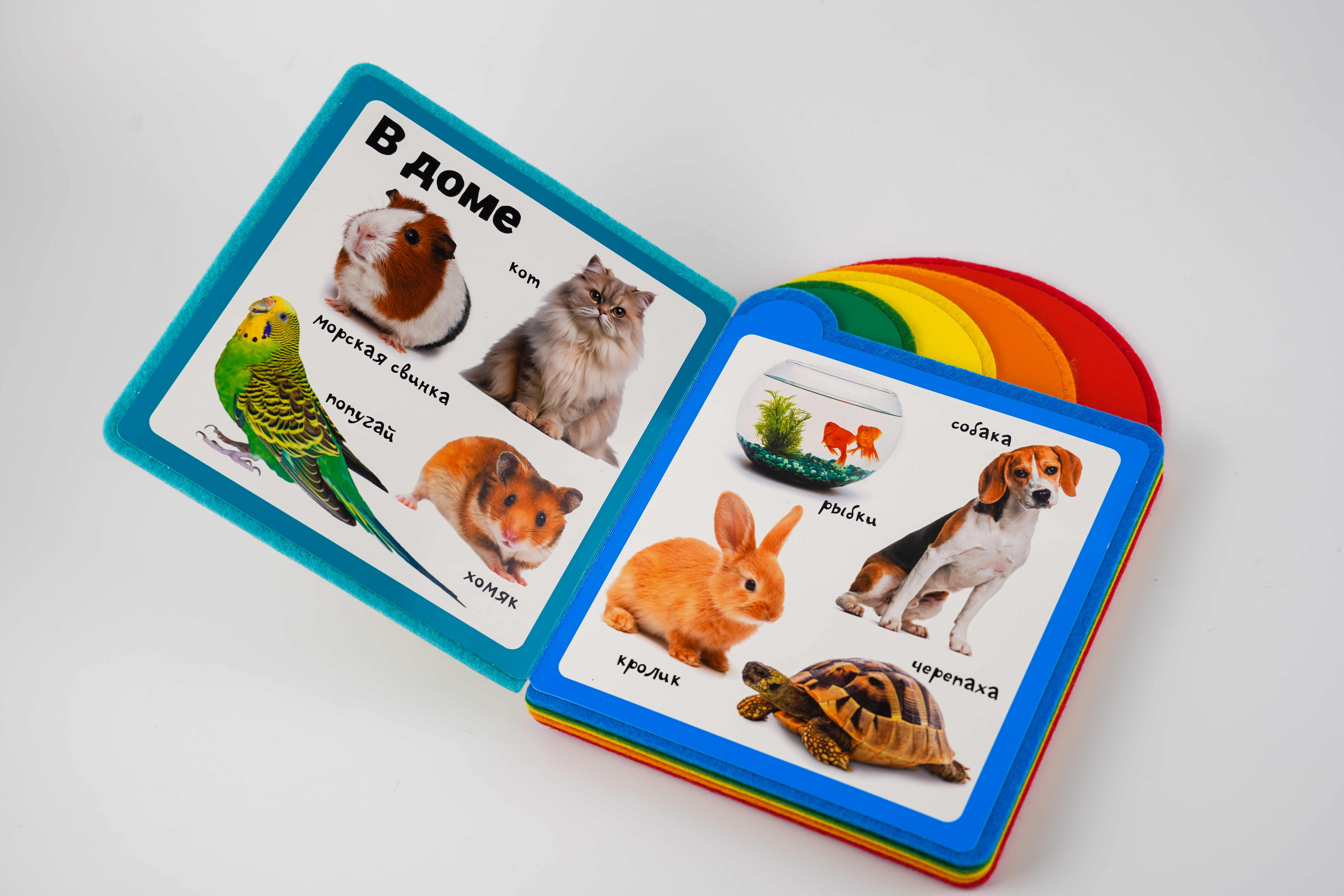 Книга АСТ Мягкая книжка для малыша Животные - фото 2