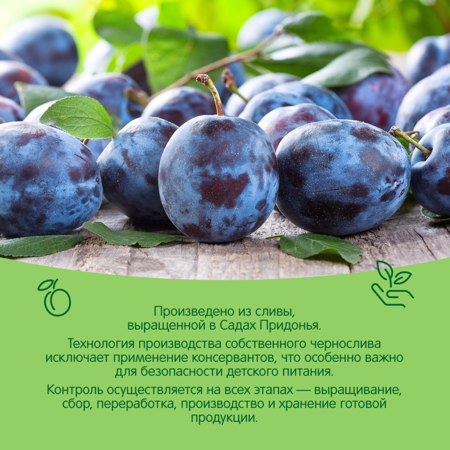 Пюре Сады Придонья Чернослив с 4 мес 125 г - фото 4