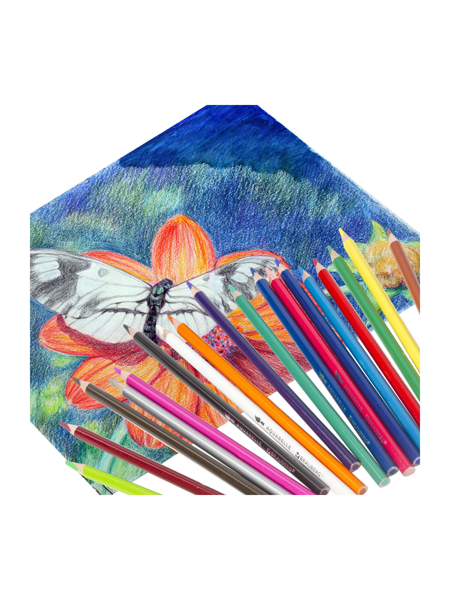 Карандаши акварельные Brauberg 18 шт. - фото 16