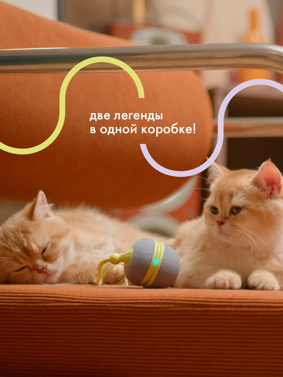 Интерактивная игрушка для кошек Pet Flat Умная дразнилка - фото 8