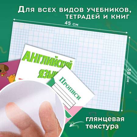 Обложка Пифагор 45 x 30 см 10 шт.