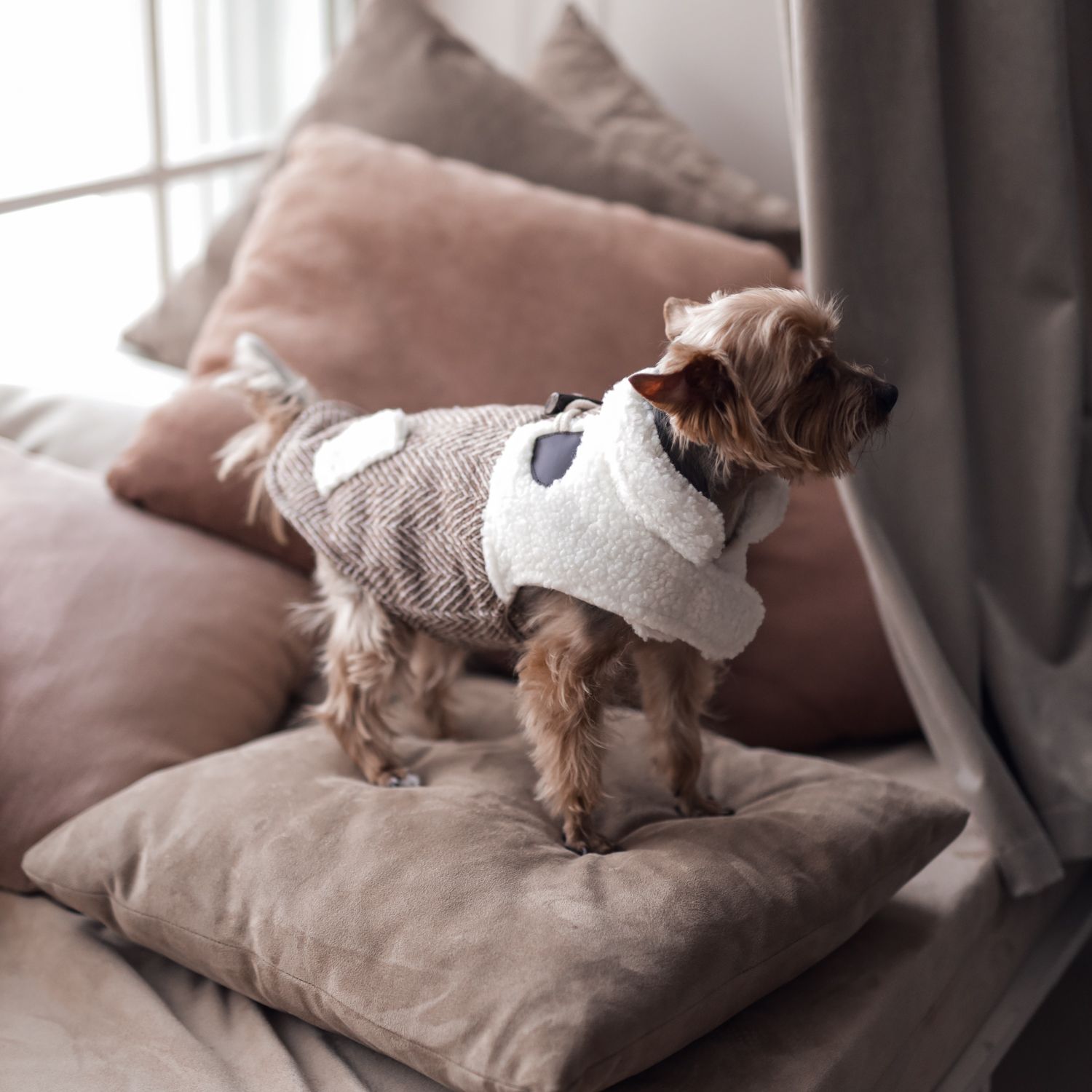 Куртка для собак Не один дома - фото 1